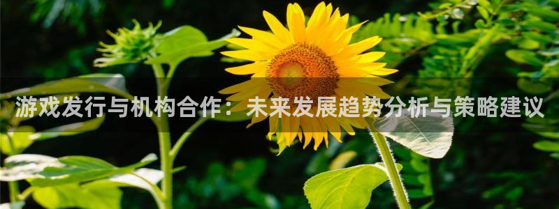db电竞官网登录注册不了怎么办：游戏发行与机构合作：未来发展趋势分析与策略建议