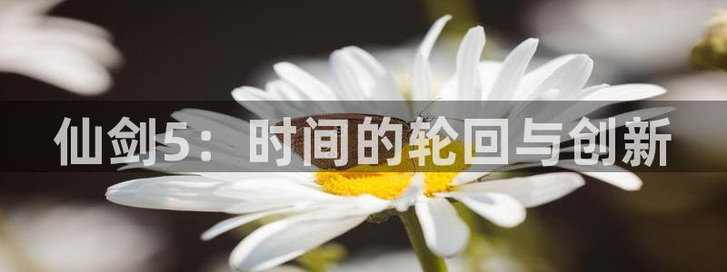 db电竞子猫图片：仙剑5：时间的轮回与创新