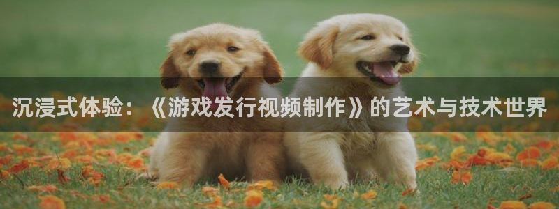 db电竞官网代理开号多少钱：沉浸式体验：《游戏发行视频制作》的艺术与技术世界