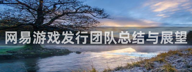 db电竞官网游戏怎么注册：网易游戏发行团队总结与展望