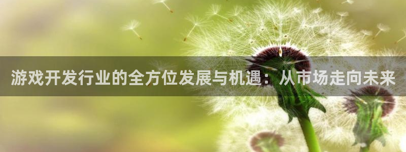 陕西db电竞子文化创意是什么：游戏开发行业的全方位发展与机遇：从市场走向未来