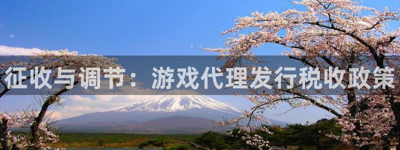 陕西db电竞子文化创意有限公司有什么游戏：征收与调节：游戏代理发行税收政策