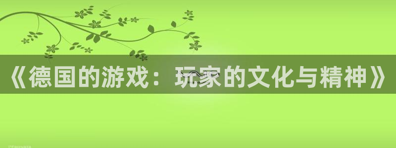 佛山db电竞：《德国的游戏：玩家的文化与精神》