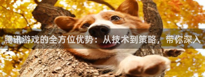 db电竞官网注册方法是什么样的：腾讯游戏的全方位优势：从技术到策略，带你深入