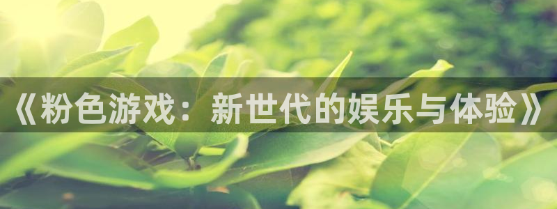 db电竞官网平台代理条件是什么