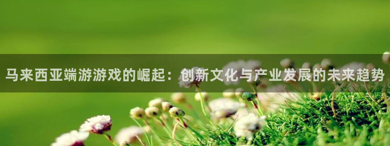 db电竞服装分店有几家