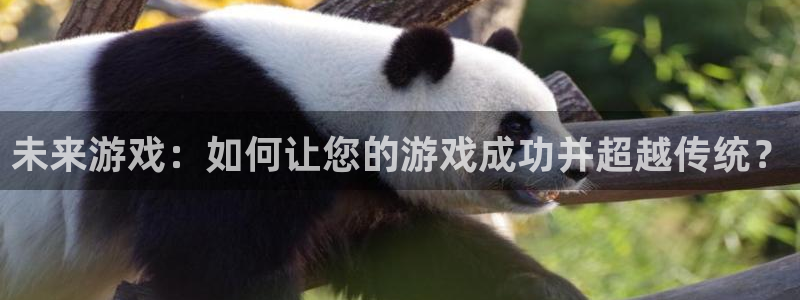 db电竞官网登录注册账号安全吗：未来游戏：如何让您的游戏成功并超越传统？