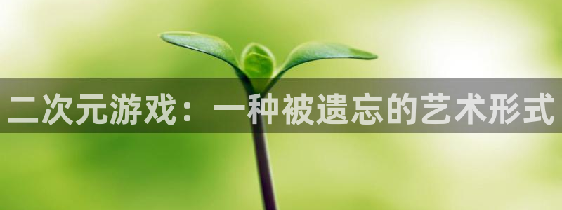 db电竞啤酒怎么样：二次元游戏：一种被遗忘的艺术形式