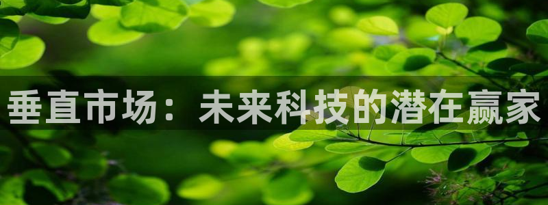 db电竞官网平台代理开号怎么开：垂直市场：未来科技的潜在赢家