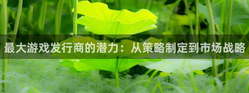 db电竞官网平台怎么样啊：最大游戏发行商的潜力：从策略制定到市场战略