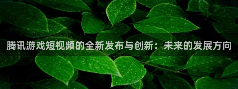 db电竞官网客服服务怎么样