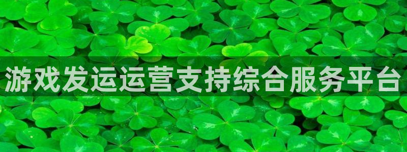 db电竞干红葡萄酒750毫升多少钱：游戏发运运营支持综合服务平台