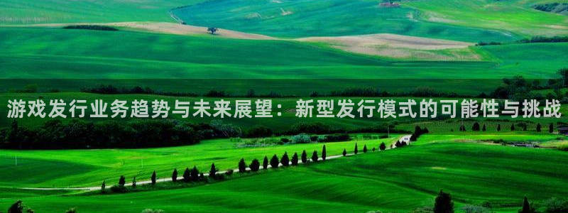 db电竞官网注册地址在哪里啊：游戏发行业务趋势与未来展望：新型发行模式的可能性与挑战