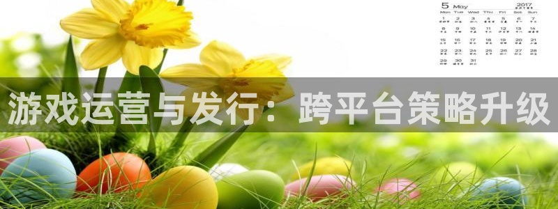 db电竞官网平台合法吗：游戏运营与发行：跨平台策略升级