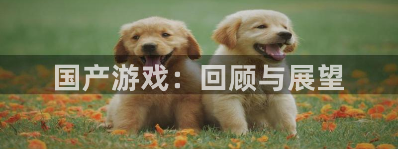 db电竞官网游戏平台高奖金玩法：国产游戏：回顾与展望